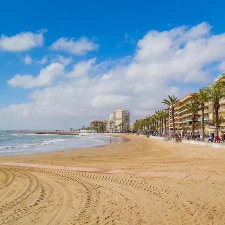 Garcia Gea Id87 * Torrevieja